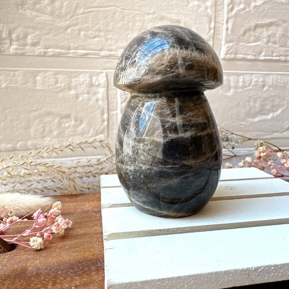 Gorgeous Black Moonstone Mushroom Carving - Picture 2 of 8
